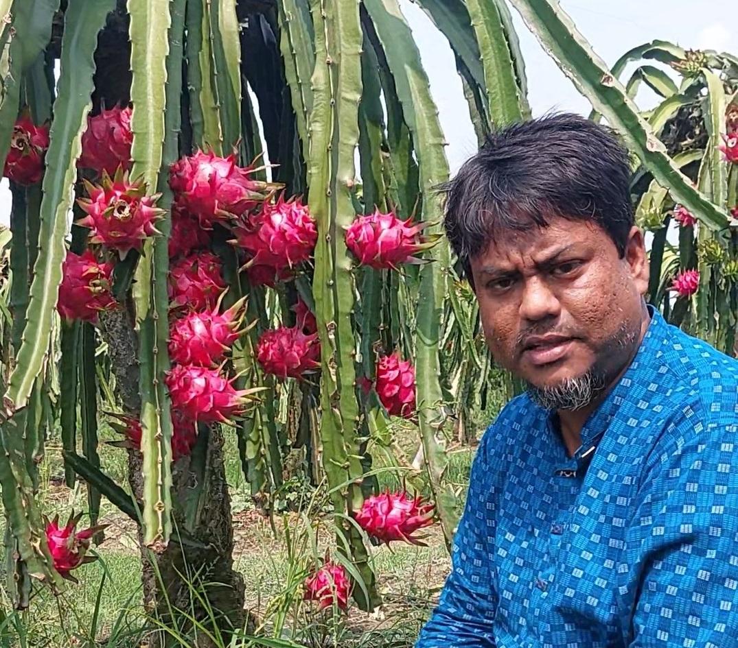 চাকরির ফাঁকে ছয় ভাইরাভাইয়ের ছয় বিঘার ফলবাগান